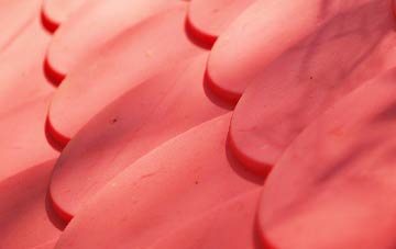 Gavinton plastic roof costs