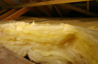 Gavinton pitch roof insulation